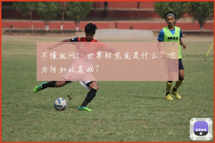 不懂就问：世界杯究竟是什么？它为何如此轰动？